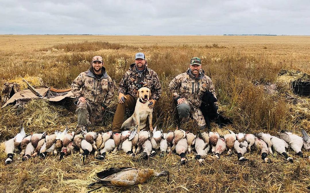 Hunter with snow geese in Saskatchewan with Prairie Rose Outfitters