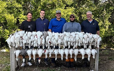Early Season Waterfowl Hunting Report from Prairie Rose Outfitters: Big Numbers, Even Bigger Opportunity