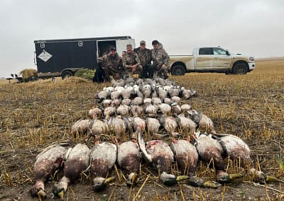 Guided duck hunting trip Canada - mallards and pintails harvested