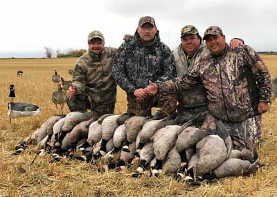 Hunter with snow geese in Saskatchewan with Prairie Rose Outfitters