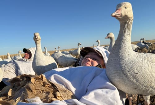 discount duck hunting Canada